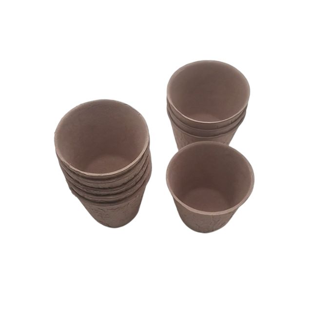 Biodegradable Seedling Tray Pulp Wholesale