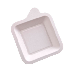 Disposable Food Pulp Tray Wholesale Custom