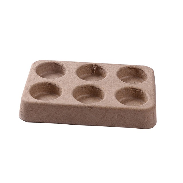 Custom 6 Holes Dry Pressed Pulp Tray